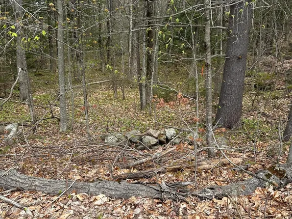 Lot #4 - 344 Moose Hill Road, Livermore Falls, ME 04254