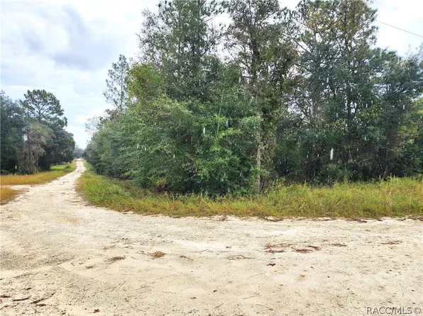 1 NE 64th Pl #J, Williston, FL 32696