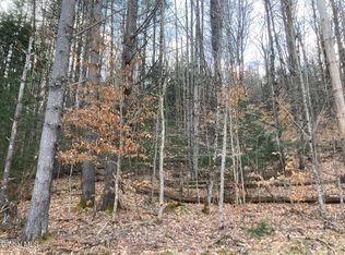 652 New Vermont Road, Bolton Landing, NY 12814