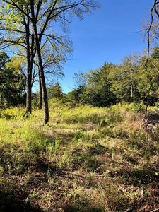 280 County Road 241, Eureka Springs, AR, 72632