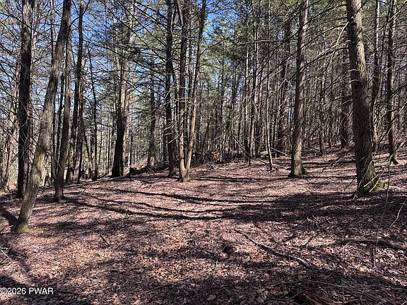 2nd image of Steep Hill Rd