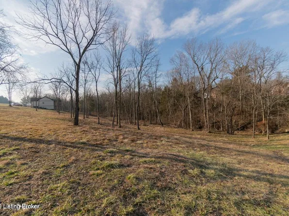 46 Sarah Elizabeth Way, Taylorsville, KY 40071