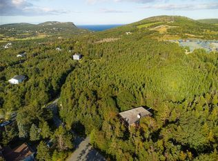 29 Walshs Rd, Saint John'S, NL A1K3G8