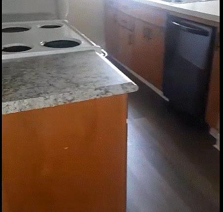 New floor, new appliances, new paint, new cabinets, new fixtures, blinds