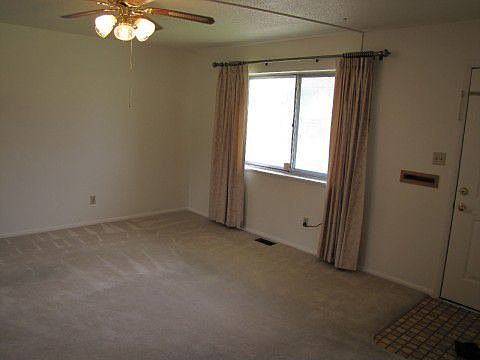 Newly cleaned carpet