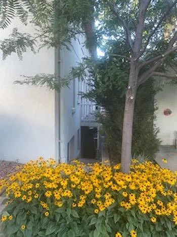 Entrrance to garden level apartment - 1206 High St