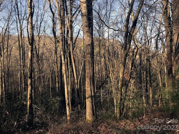 26 Holly Rd #26/2, Sapphire, NC 28774