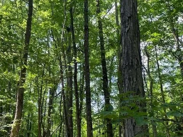 0 Callier Rd, Talbotton, GA 31827