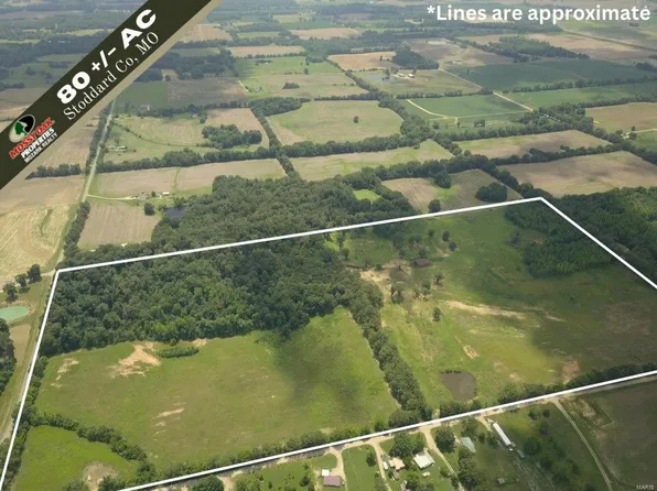 0 County Road 260, Puxico, MO 63960