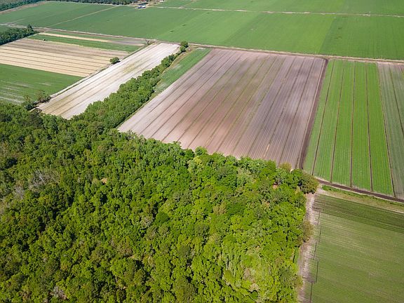 3rd image of County Road 13 S