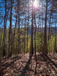 Pine Needle Ln, Nebo, NC, 28761