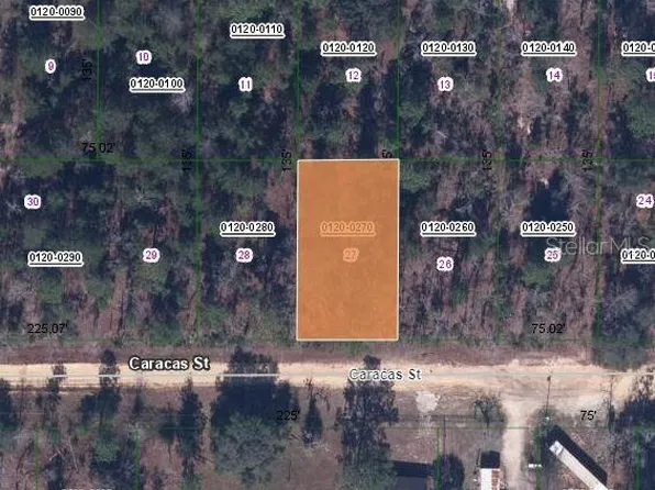 116 Caracas St #27, Interlachen, FL 32148