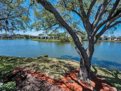 232 Nina Way #232, Oldsmar, FL, 34677