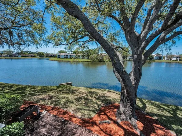 232 Nina Way #232, Oldsmar, FL 34677