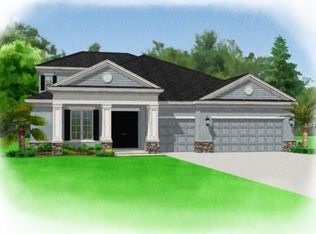 10716 Oak Ranch Heritage Pl, Thonotosassa, FL 33592