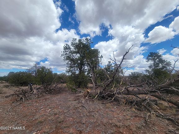 2nd image of 2143 S Calypso Ln
