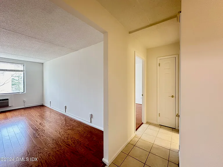 1525 E Putnam Ave #407 — Photo 4