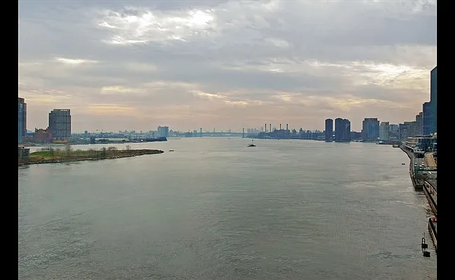 Sold by Douglas Elliman | media 36