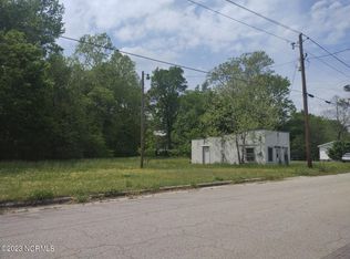 312 S Ash St, Spring Hope, NC 27882