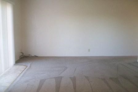 2nd image of 117 Power Dr APT C