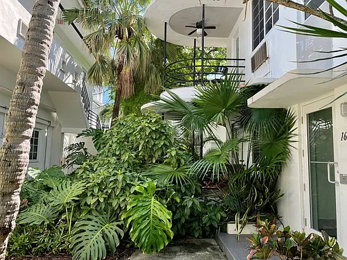 Floor plan Studio