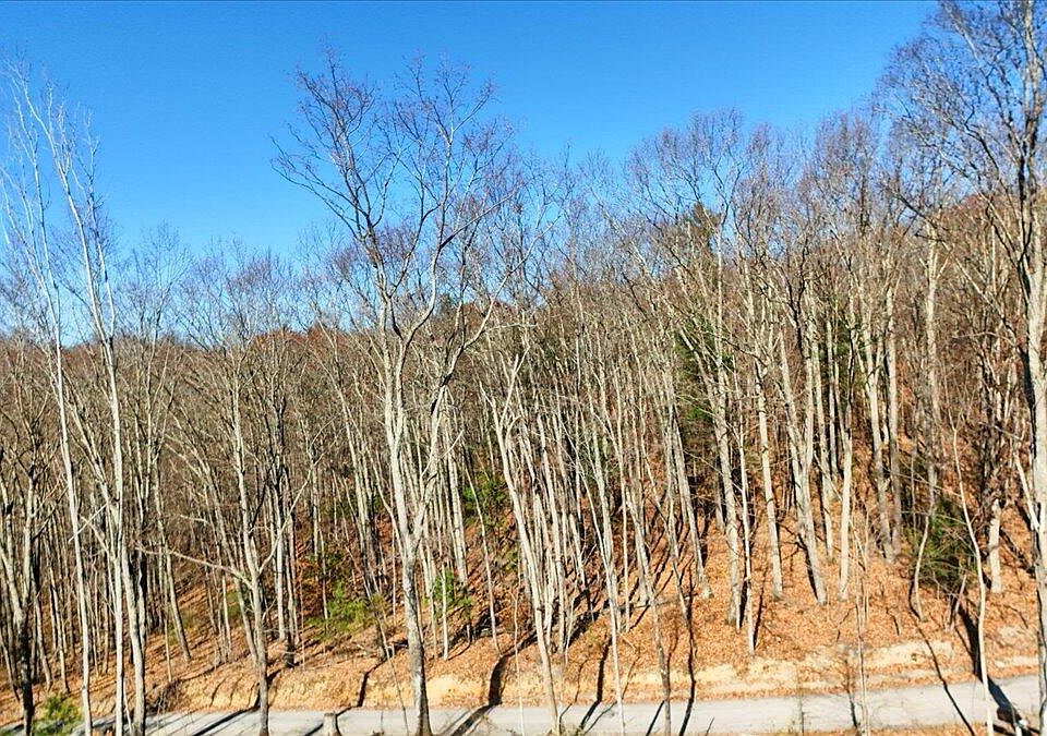 1st image of 0 Hendrickson Rd