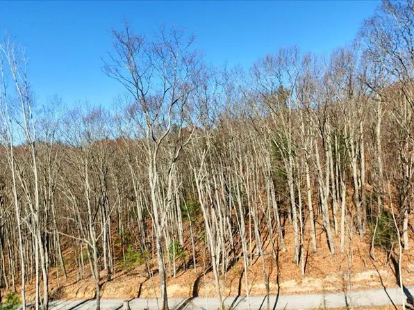0 Hendrickson Rd, Pembroke, VA 24136