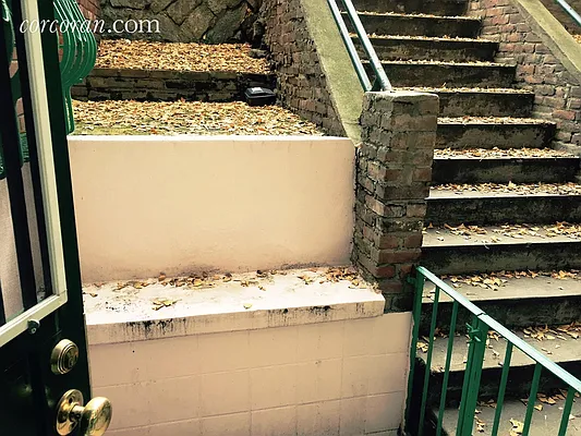 Rented by Corcoran | media 11