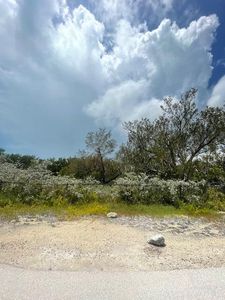 0 Thatch Ln, Summerland Key, FL, 33042