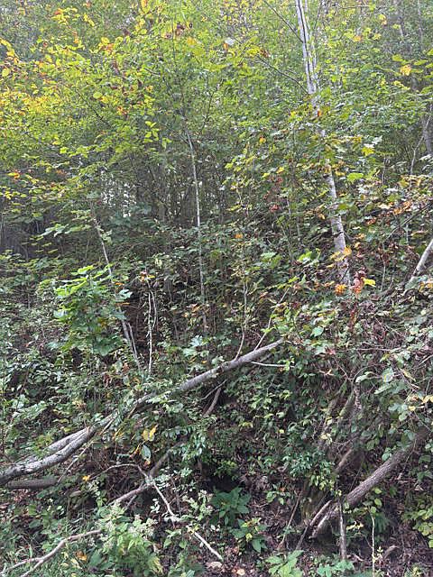1st image of 722 Russell Brothers Rd