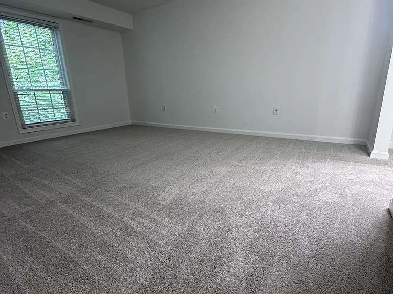 11948 Cardamom Dr — Photo 15