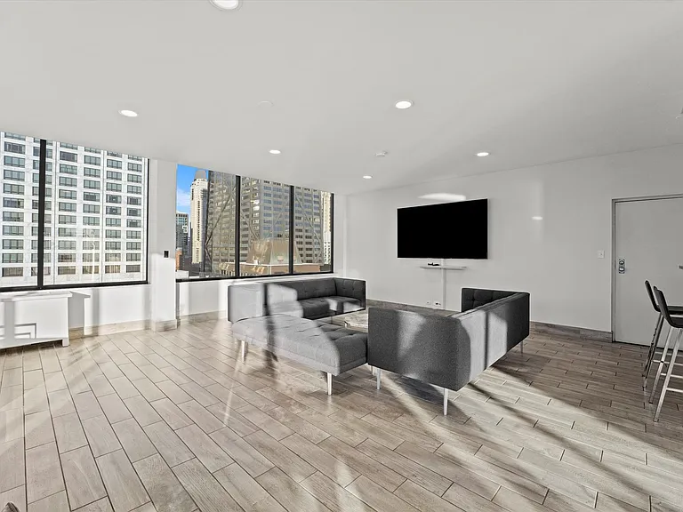 222 E Pearson St #2406 — Photo 16