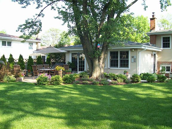 Backyard with mature silver maple tree