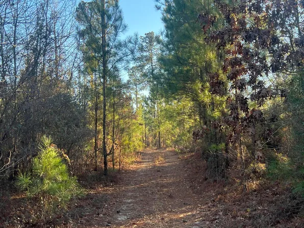 LOT 62 High Country Ct, Windsor, SC 29856