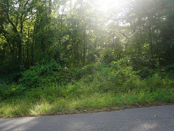2nd image of S Hill And Bronco