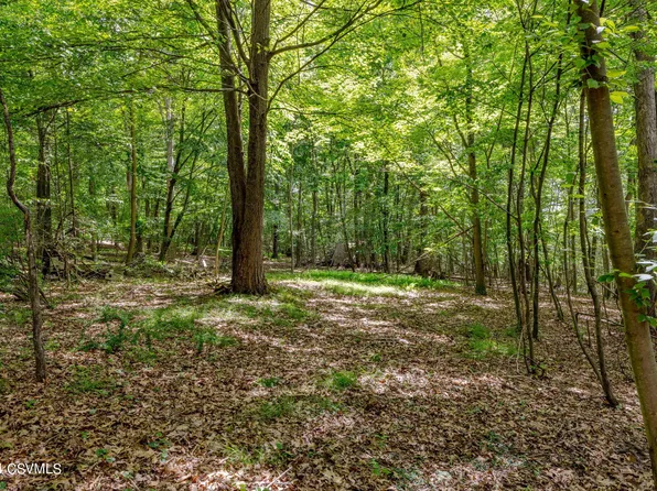 Mainzer Hill Rd, Danville, PA 17821