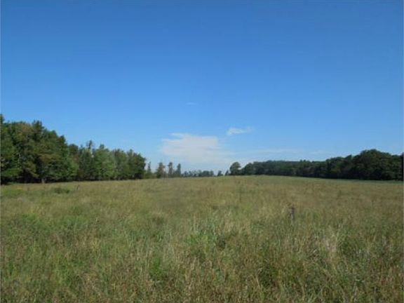4th image of 275 Bill White Ln