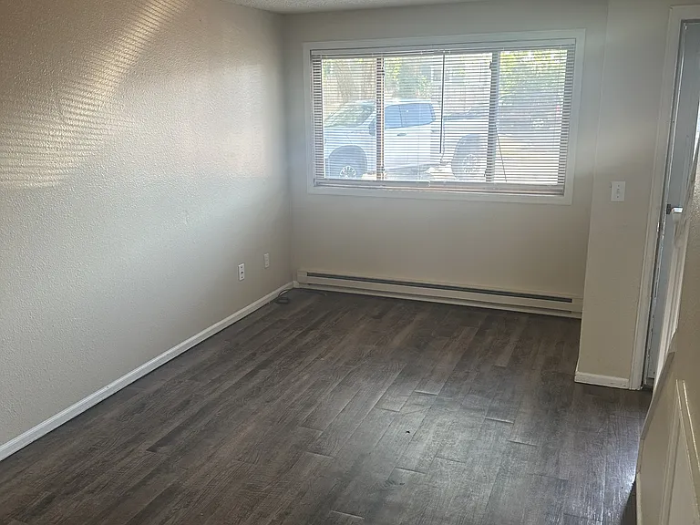4885 Basswood Dr — Photo 3