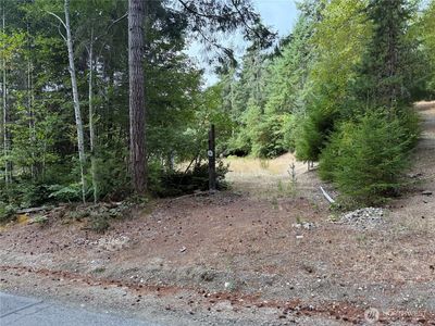 397 NE Larson Lake Road, Belfair, WA, 98528