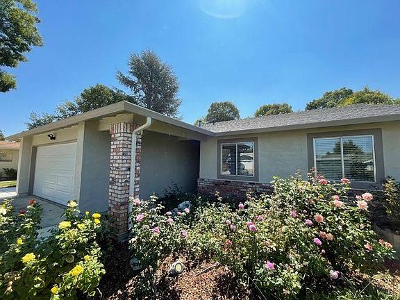 Rose garden in front yard