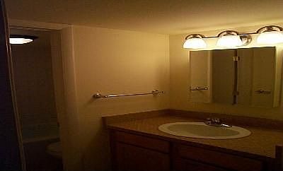 Bathroom Vanity Sink