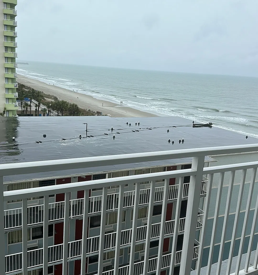 1 bed, 385 sqft, $1,500 — Photo 1