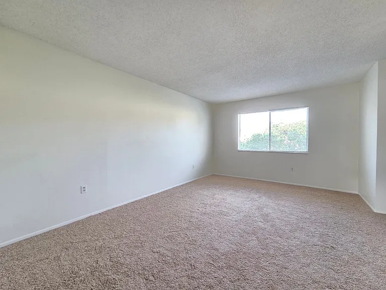 219 Debora Ct — Photo 15