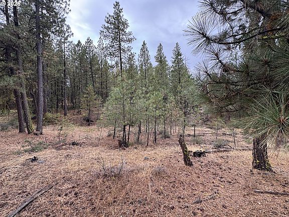 3rd image of Fireline Rd