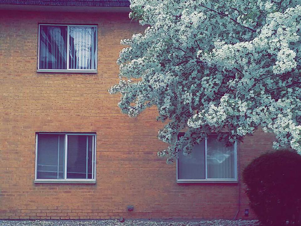 Exterior of home