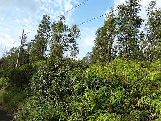 2nd image of Paradise Dr Lot 21