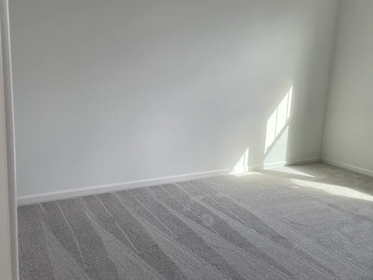 Clean & Washed Carpet