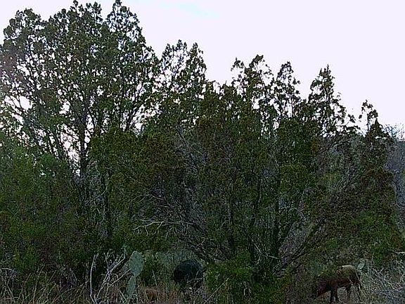 3rd image of TRACT 11 Eastwood Rd