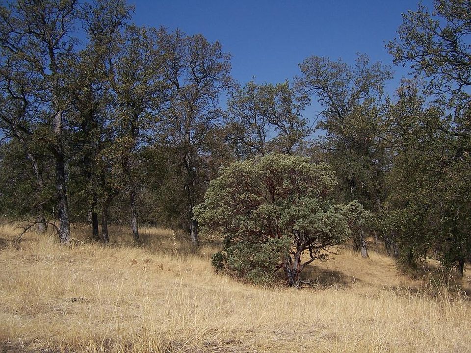 2nd image of 18560 Highridge Rd