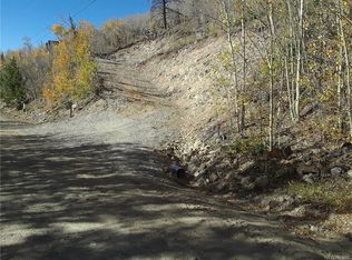 1127 Quartzville Rd, Alma, CO 80420